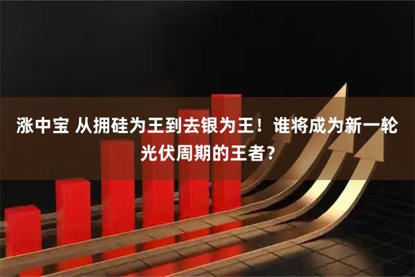 涨中宝 从拥硅为王到去银为王！谁将成为新一轮光伏周期的王者？