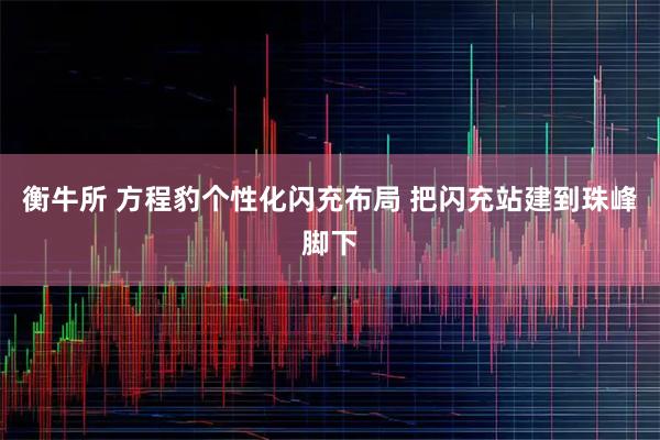 衡牛所 方程豹个性化闪充布局 把闪充站建到珠峰脚下